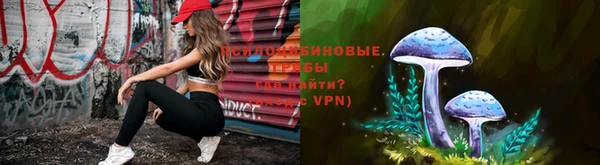 спайс Алексин
