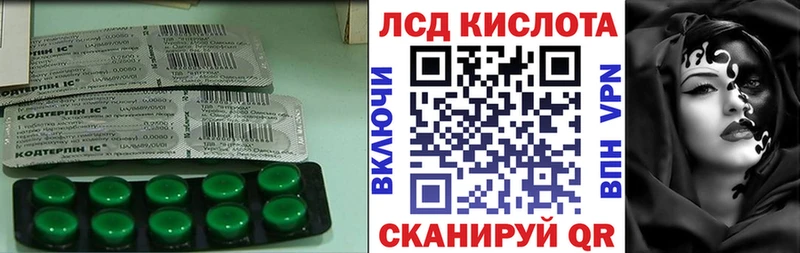 где найти наркотики  Южно-Сухокумск  ЛСД экстази ecstasy 